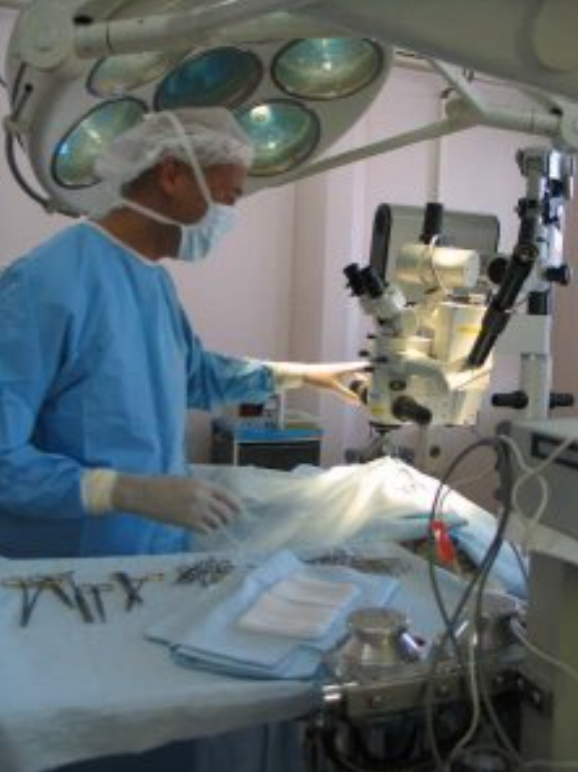 Dr. Omaboe, Vétérinaire Nyon, Veterinaire Nyon, Nyon Veterinaire, Nyon Vétérinaire, cabinet vétérinaire Nyon, cabinet veterinaire Nyon, clinique vétérinaire Nyon, vétérinaire de Garde Nyon,veterinaire de Garde Nyon, Cabinet Vétérinaire International