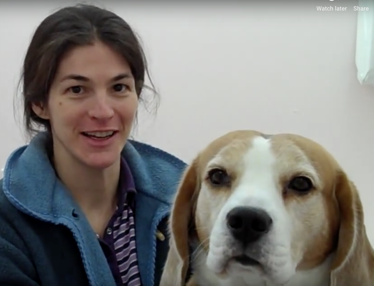 Animal Hospital Geneva, Geneva Animal Hospital, veterinarian Geneva, Geneva Veterinarian