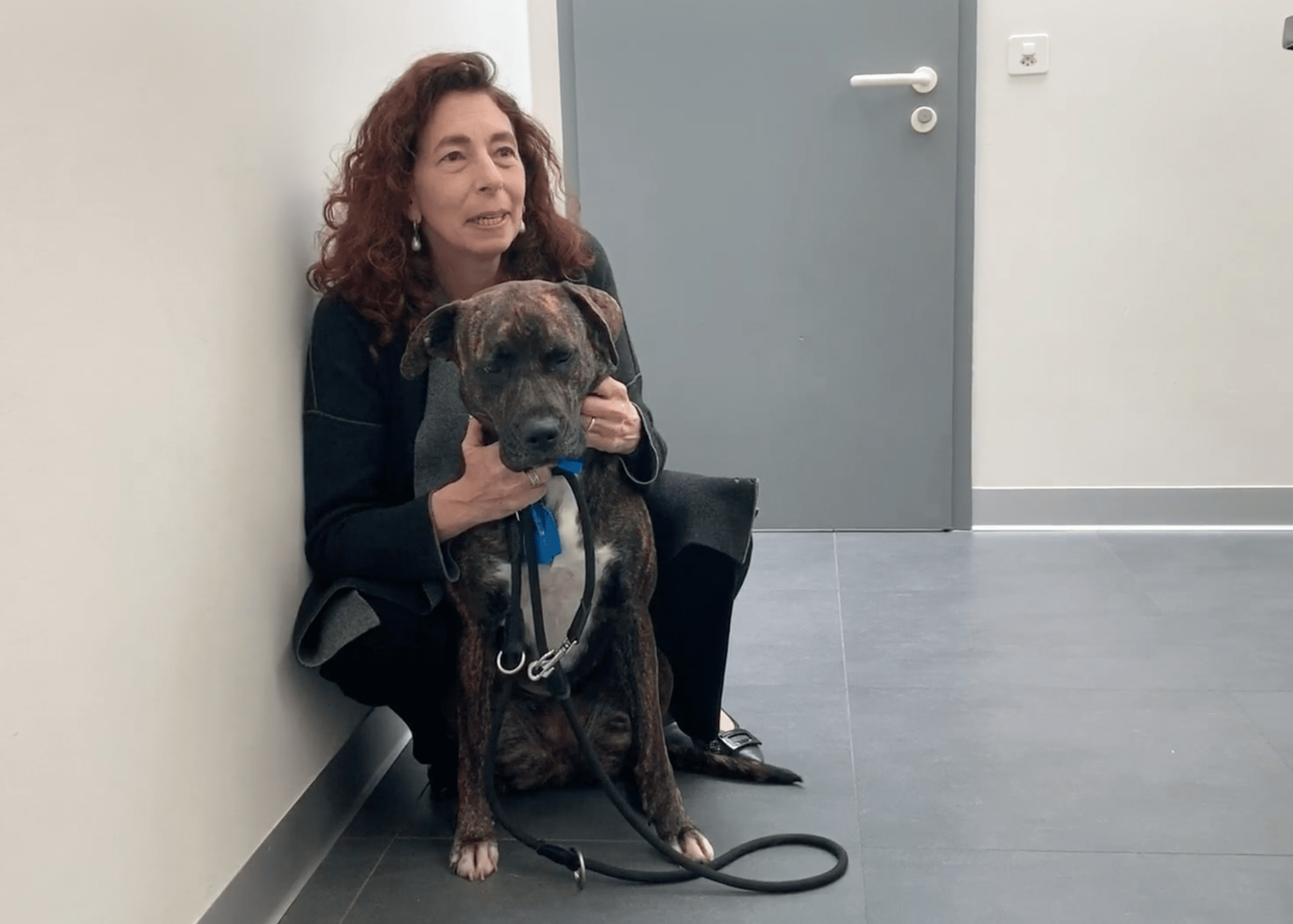 Animal Hospital Geneva, Geneva Animal Hospital, veterinarian Geneva, Geneva Veterinarian