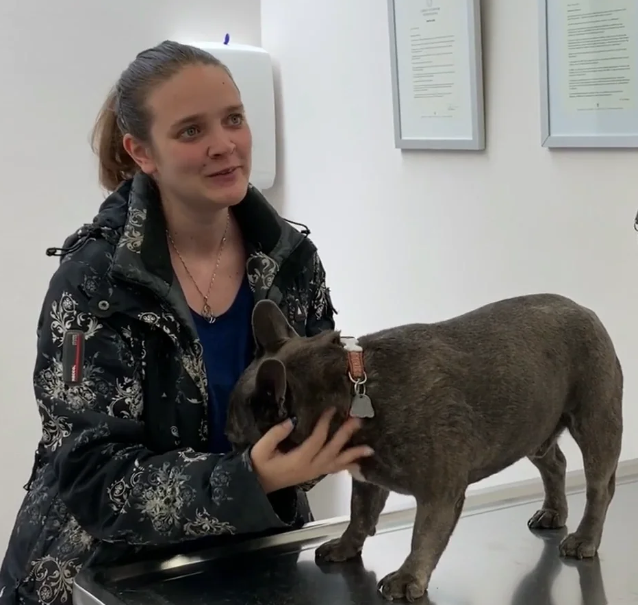 Animal Hospital Geneva, Geneva Animal Hospital, veterinarian Geneva, Geneva Veterinarian